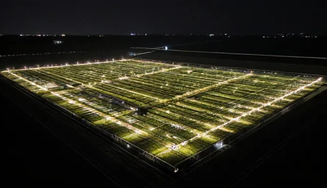 商品采购中限制因素的检查要点分析