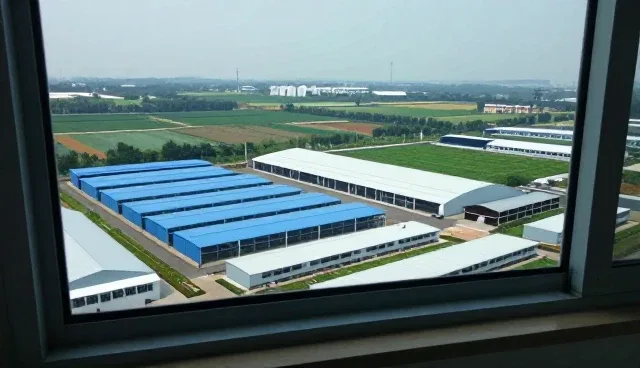 严谨态度下的商品采购:平台运营中的关键实践